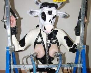 Woman dressed in cow costume having milk pumped from breasts