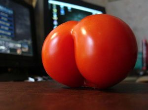 Tomato that looks like a bum