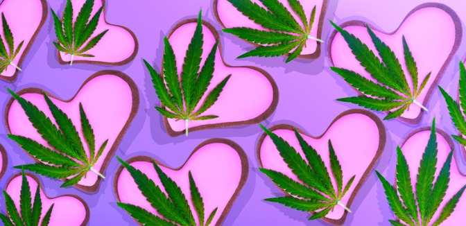 420 Sex Toys: High & Horny