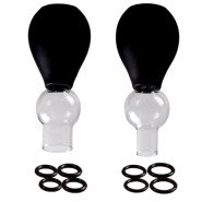 Bondara Perk Up Glass O-Ring Nipple Sucker Set