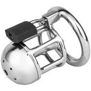 Torment Little Lad Micropenis Chastity Cage with Padlock