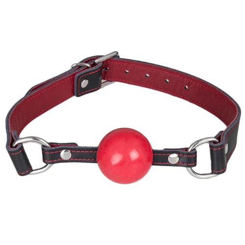 Rubies In The Dark Black & Red Leather Silicone Ball Gag