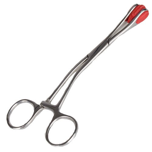 Torment Stainless Steel Young Forceps