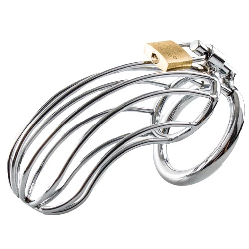 Torment Birdcage Stainless Steel Chastity Cage