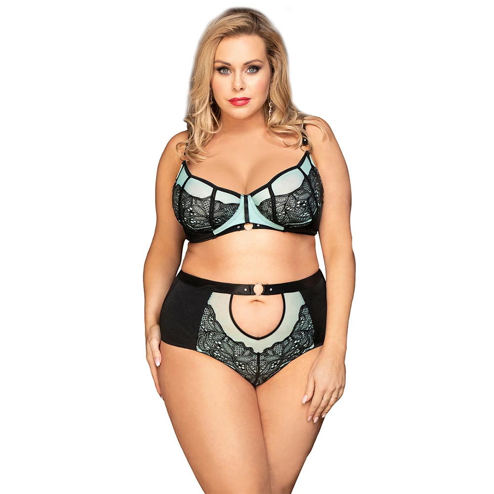 Luscious Love Plus Size Bra & High-Waisted Knicker