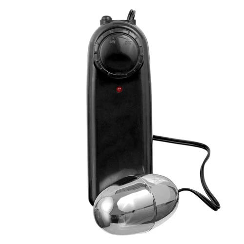 In the Dark Remote Control Multi-Speed Vibrating Love Egg